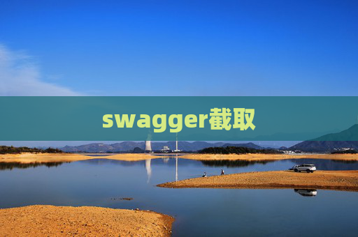 swagger截取